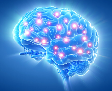 La neurologie fonctionnelle #2